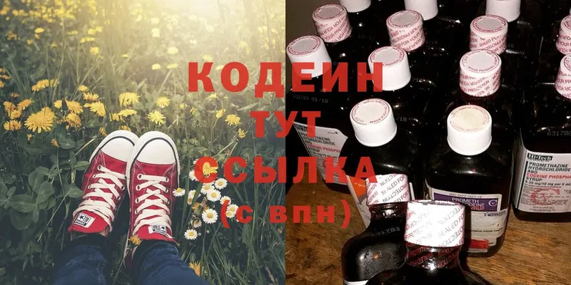 Кодеиновый сироп Lean Purple Drank  Шумерля 