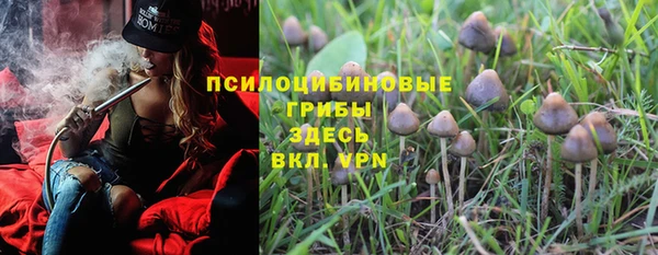 эйфоретик Корсаков