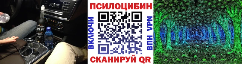 как найти   Шумерля  Псилоцибиновые грибы Psilocybe 