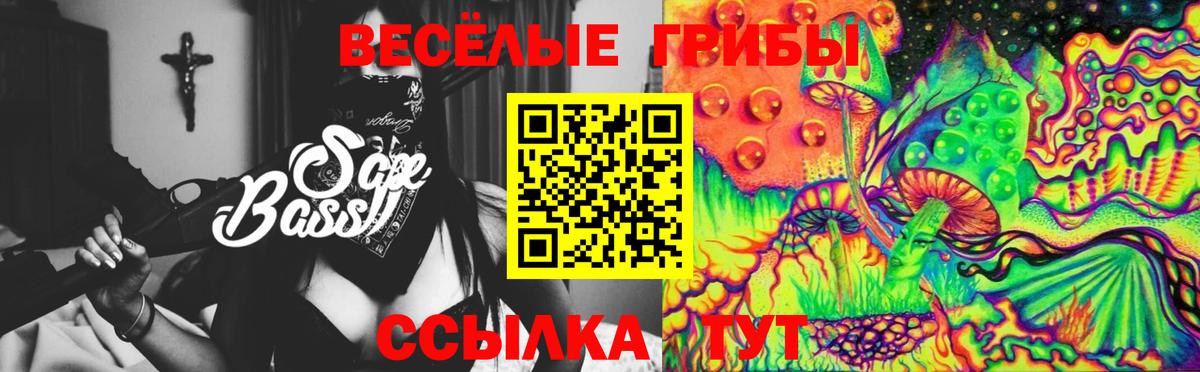 Галлюциногенные грибы MAGIC MUSHROOMS  Псилоцибиновые грибы GOLDEN TEACHER  Вход с VPN  Шумерля 
